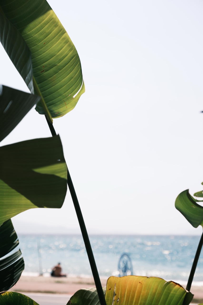 Zulada Beach Gallery - Kuşadası   Zulada Beach Fotoğraflar30 2